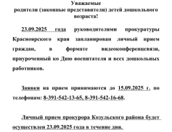 Личный прием граждан, в формате видеоконференцсвязи, приуроченный ко Дню воспитателя и всех дошкольных работников.